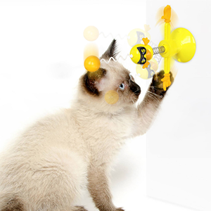 Cat-Spring-Toys-1