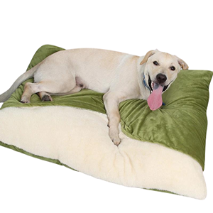 Dog-Beds-With-Covers-1