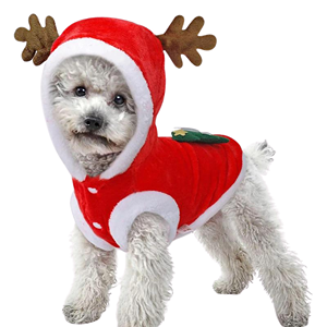 Dog-Christmas-Outfits-0