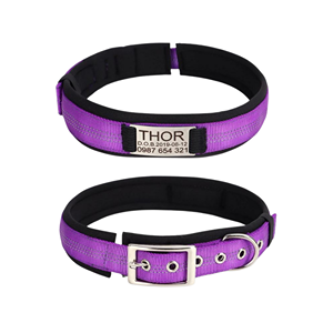 Dog-Collars-With-Names-0