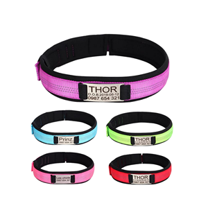 Dog-Collars-With-Names-1