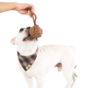 Dog-Rope-Toys-1