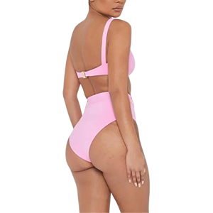 High-Waisted-Bikinis-1