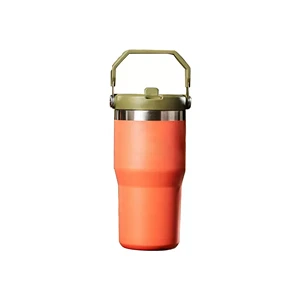 Insulated-Water-Bottles-With-Straw-0