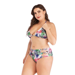 Plus-Size-Two-Piece-Swimsuits-0
